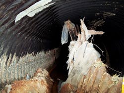 1655240413893 Before 2 1655240413893 Before 2