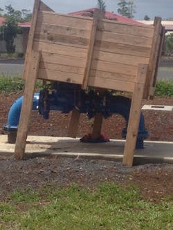 1655240415415 Singer A Red Flags 1655240415415 Singer A Red Flags