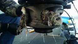 pump%20ragging pump%20ragging