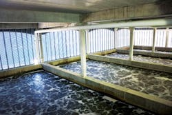 1655240417655 Top Of The Cell 1655240417655 Top Of The Cell