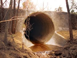 1655240418340 Dsc01192 After 1655240418340 Dsc01192 After