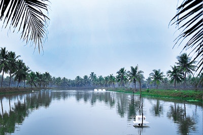 Photo2MoriArticle-Pond