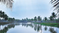 Photo2MoriArticle-Pond Photo2MoriArticle-Pond