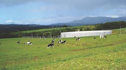 Dairygold Ireland wastewater treatment system_edit