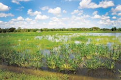 1655240425741 Harmoniousreuse 1655240425741 Harmoniousreuse