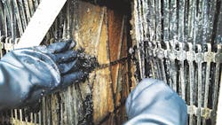 1655240437711 Figure 7 1655240437711 Figure 7