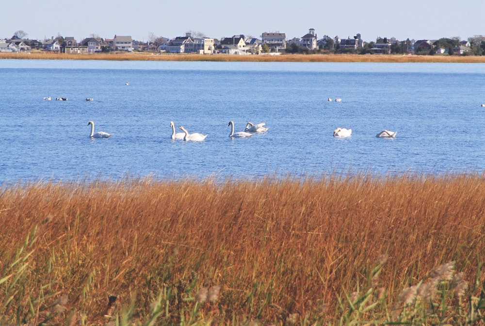 1655240443592 Img 5542 Copy