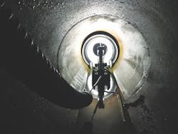 1655240445134 Img 2892 Copy 1655240445134 Img 2892 Copy