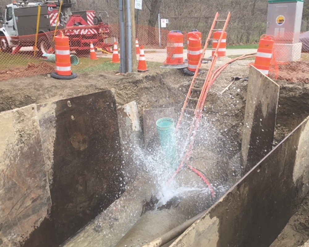 1655240455409 Image001 Copy1