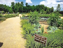 Sierra_Nevada_garden_copy Sierra_Nevada_garden_copy