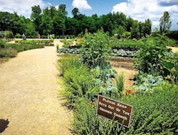 iwwd-filters-4-082318 iwwd-filters-4-082318