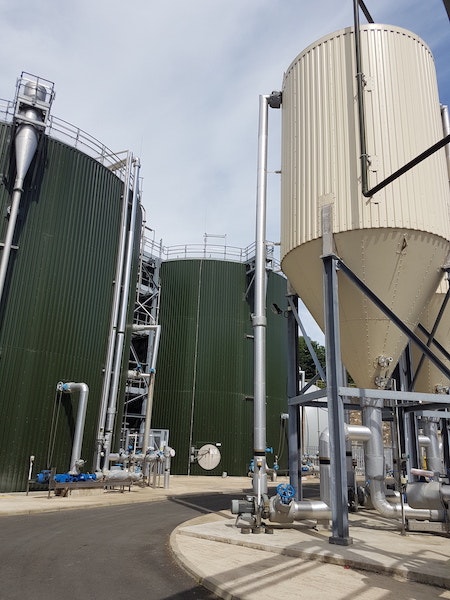 1655240467394 Jersey 5 1