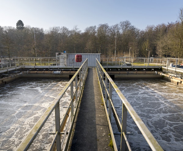 1655240467458 Wwd Picture 7 0