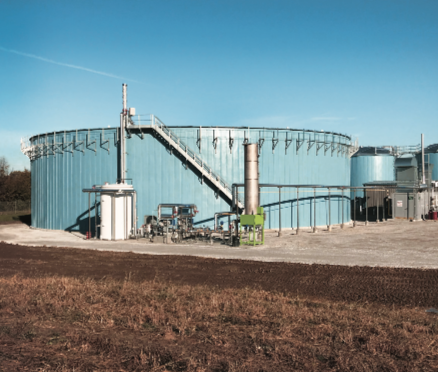 Screen Shot 2018-12-03 at 11.34.56 AM