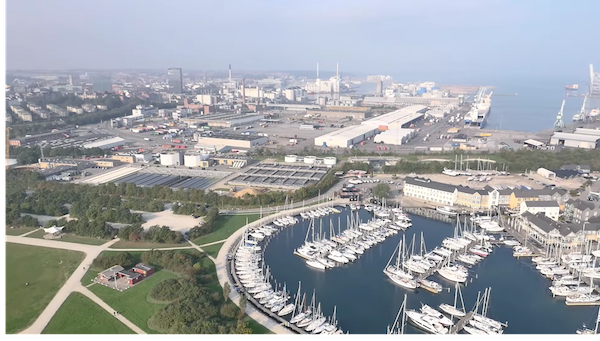 Screen Shot 2018-12-31 at 10.00.47 AM