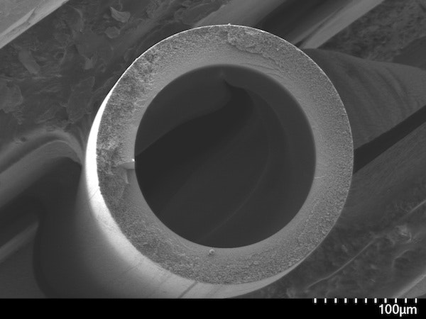 1655240494696 Fig 1a