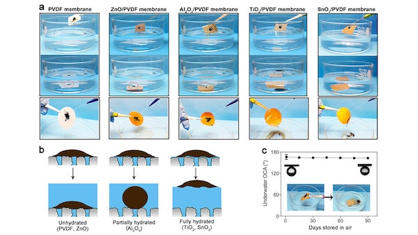 1655240494825 Oilresistentmembranecomparison1600x900
