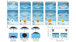 1655240494825 Oilresistentmembranecomparison1600x900 1655240494825 Oilresistentmembranecomparison1600x900