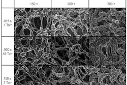 JanusClose900x600 JanusClose900x600