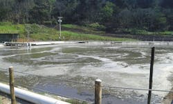 WW%20Aeration_Central%20American%20Coffee%20Plantation WW%20Aeration_Central%20American%20Coffee%20Plantation