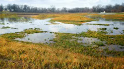 Washington, IN Constructed Wetland 2