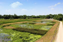 Washington%2C%20IN%20Constructed%20WetlandIMG_5757 Washington%2C%20IN%20Constructed%20WetlandIMG_5757