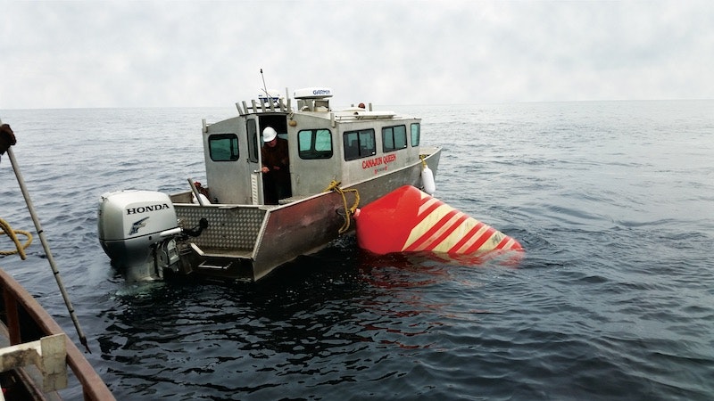 5..Transporting Pig_2018Toronto_123931 copy_0