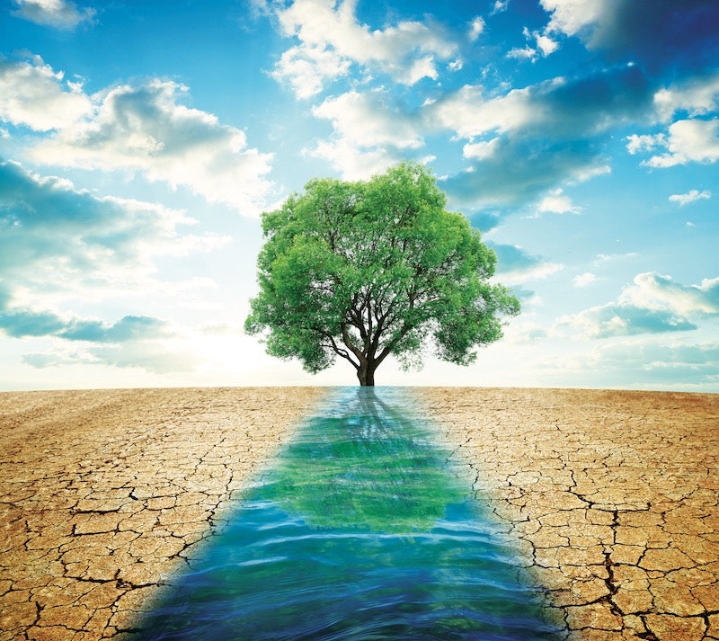 1655240515821 Adobestock 284481334 Copy