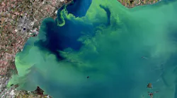 Nutrient Loading Lake Erie Algae Bloom