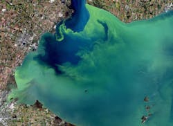 Nutrient Loading Lake Erie Algae Bloom