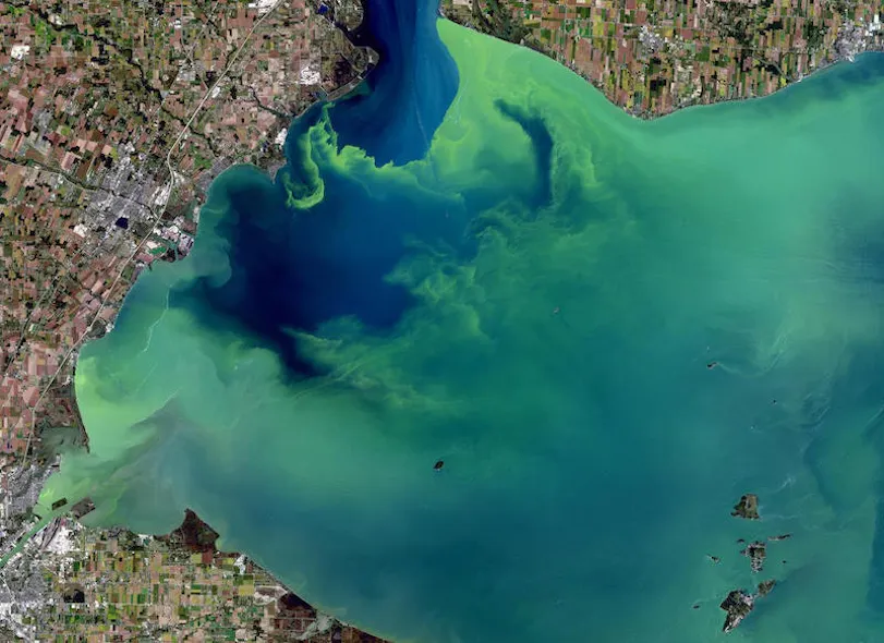 Ever Increasing Algae Blooms Dead Zones Threaten U S Waters Ever Increasing Algae Blooms Dead Zones Threaten U S Waters