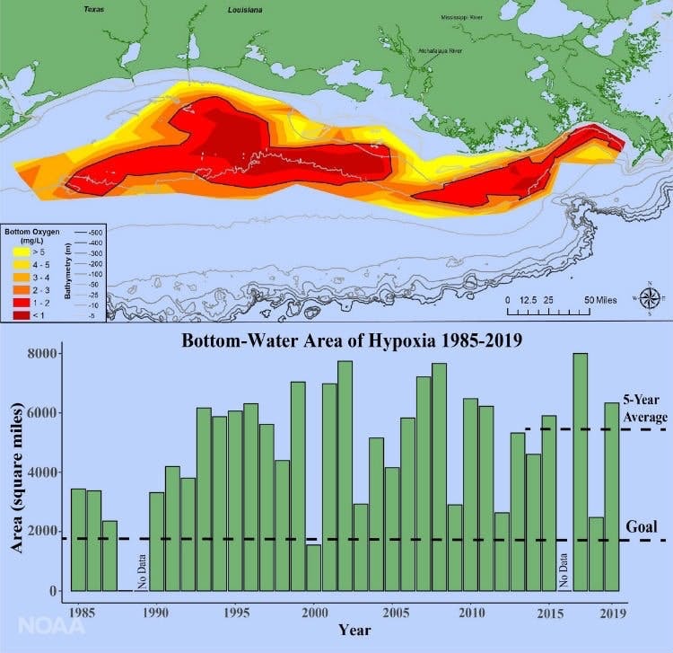 Nutrient%20Loading%20National%20Oceanic%20and%20Atmospheric%20Administration%20Gulf%20of%20Mexico%20Dead%20Zone%20Map%20Harmful%20Algae%20Blooms