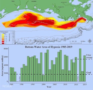 Nutrient%20Loading%20National%20Oceanic%20and%20Atmospheric%20Administration%20Gulf%20of%20Mexico%20Dead%20Zone%20Map%20Harmful%20Algae%20Blooms