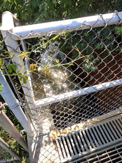 IMG_20180709_104329 IMG_20180709_104329