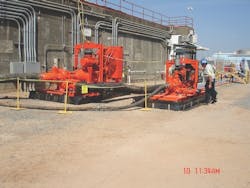 1655240526986 Xylem 1 1655240526986 Xylem 1