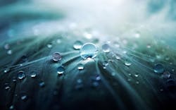 1655240529619 Water955929 1280 1655240529619 Water955929 1280