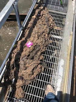 What is Wastewater - Solids and Ragging What is Wastewater - Solids and Ragging