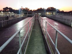 dunedin%20wttp dunedin%20wttp