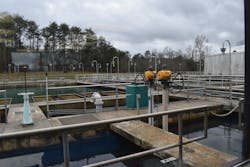 1655240541750 Troublesome Turbidity 1655240541750 Troublesome Turbidity