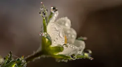 water equity