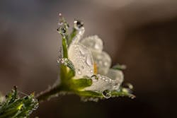 1655240543304 Water Equity 1655240543304 Water Equity