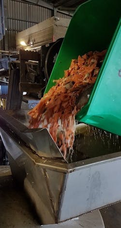 treated%20salmon treated%20salmon