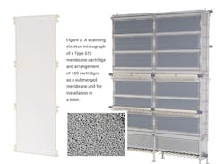 electron%20micrograph electron%20micrograph