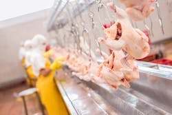 poultryline poultryline