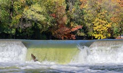 1655240564542 1 50 1655240564542 1 50