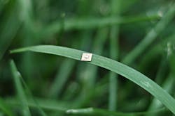 1655240566141 Ultraviolet Led 1655240566141 Ultraviolet Led