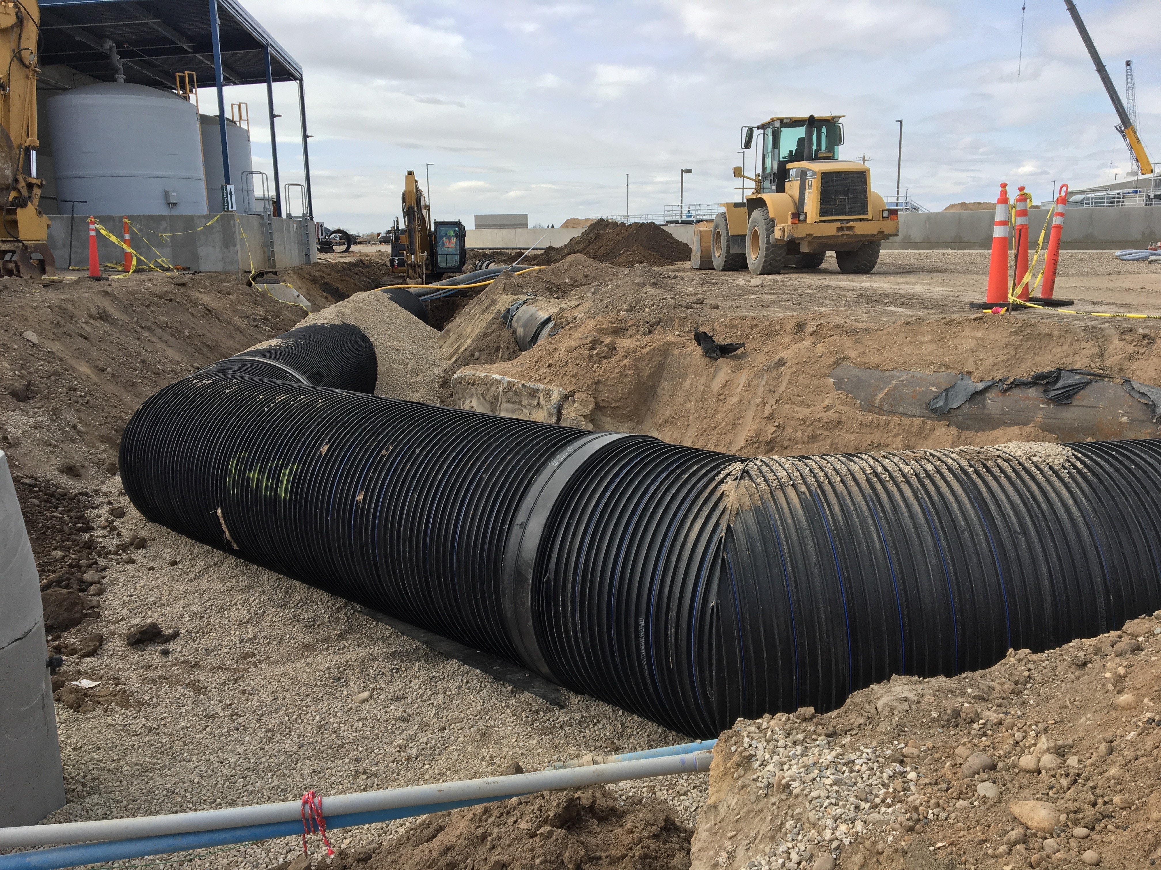 1655240568955 Meridian