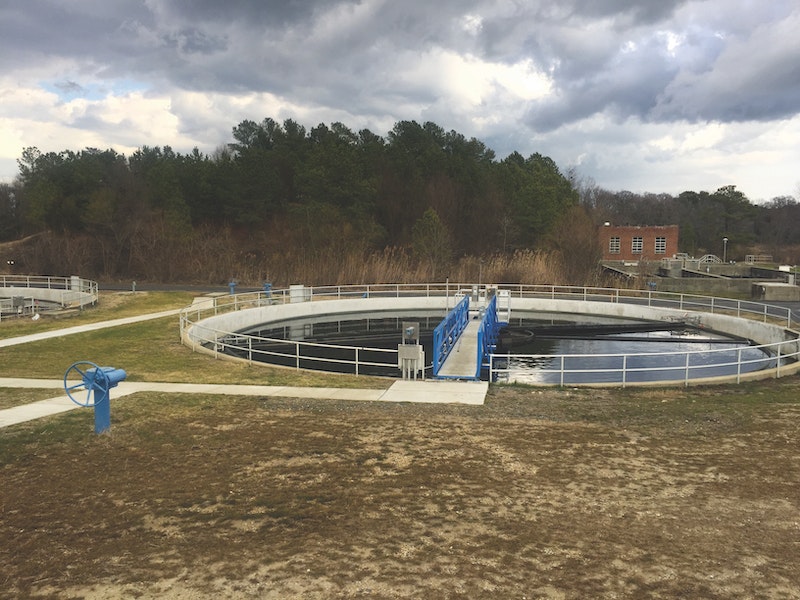 chesapeake bay nutrient removal