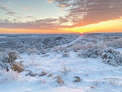 1655240572764 Texas Water Supply 1 1655240572764 Texas Water Supply 1