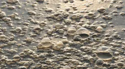 wastewater-treatment-min
